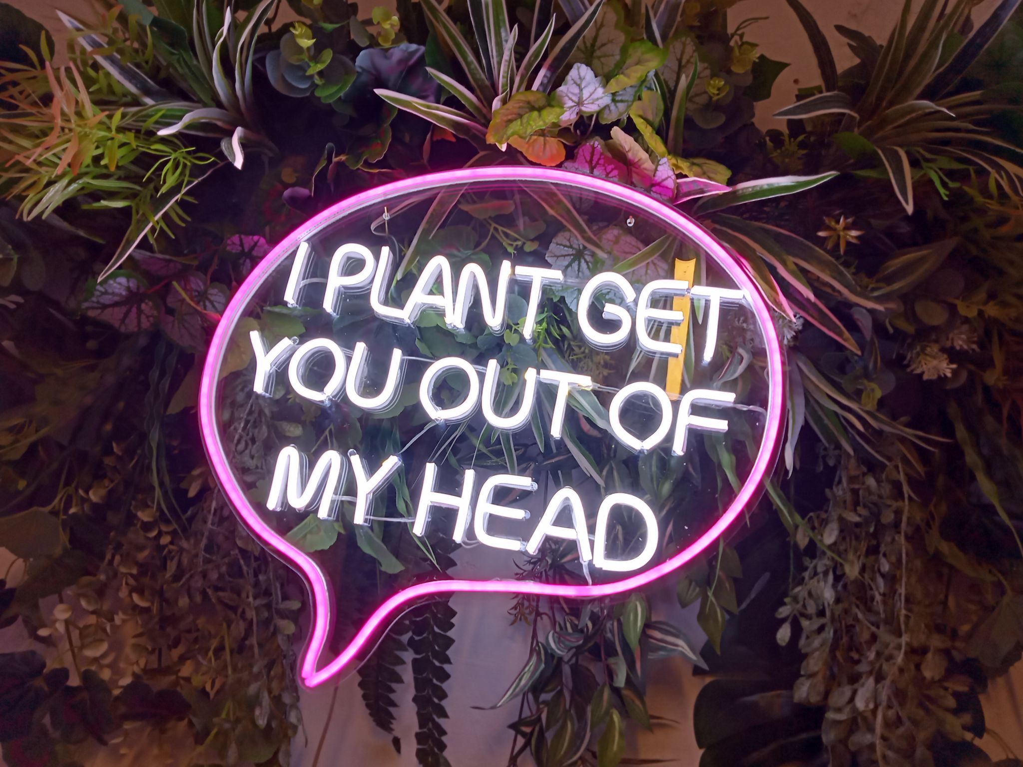 I Plant Get You Out Of My Head NeonLED - Görsel 2